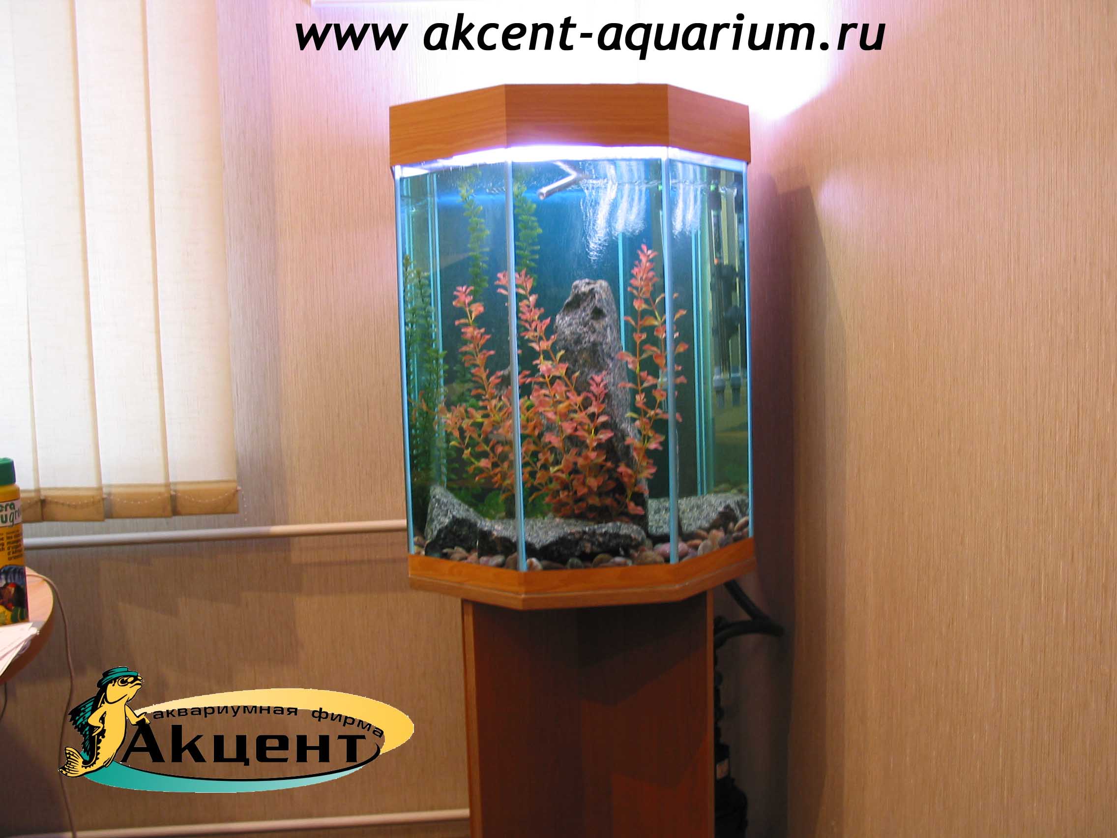 Акцент-аквариум,аквариум многогранный 60 литров